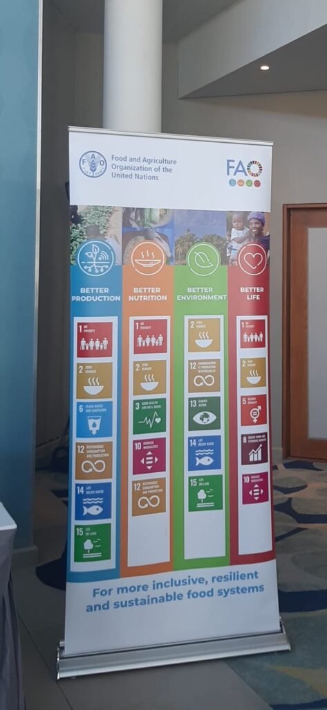 Enovra Energy Solutions representing the solar sector at the GCF FAO renewable energy workshop in Mauritius
